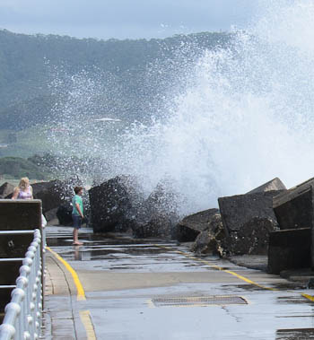 Mother Nature S Coffs Harbour Mother Nature S Coffs Harbour