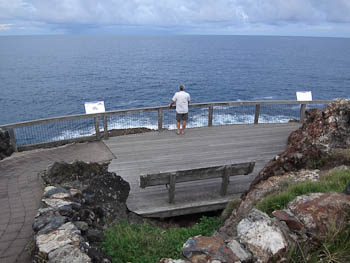 Mother Nature S Coffs Harbour Mother Nature S Coffs Harbour